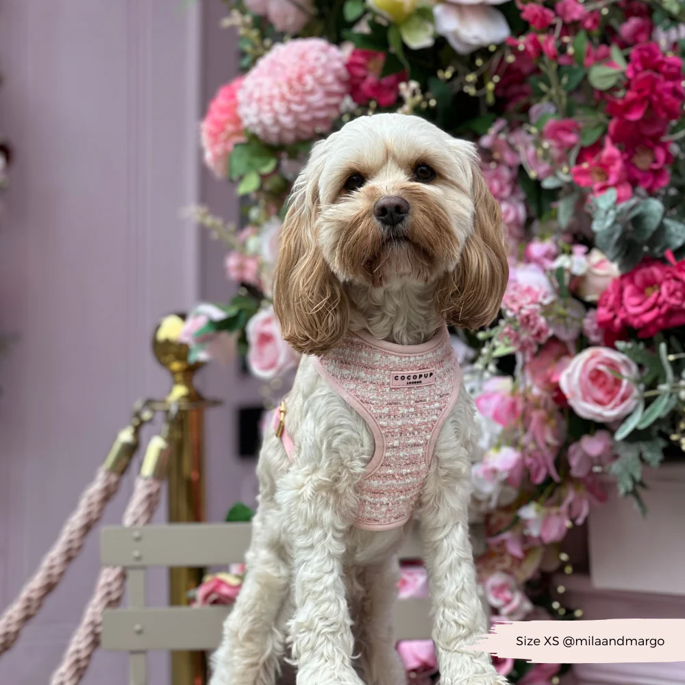 Pink Textured Tweed Adjustable Neck HARNESS - Image 9