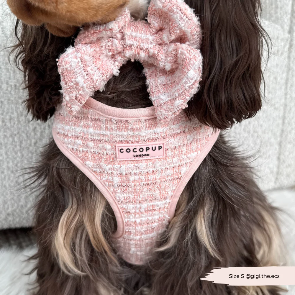 Pink Textured Tweed Sailor Bow Tie - Image 6