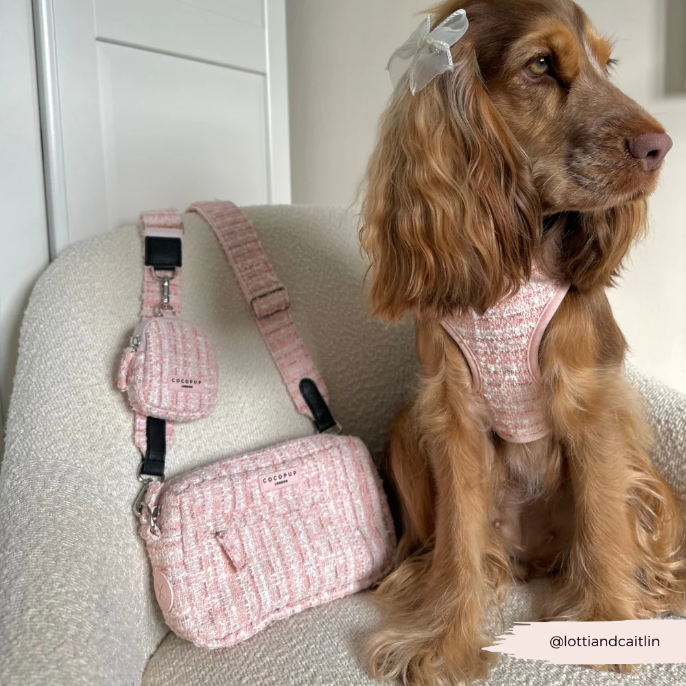 Pink Textured Tweed Dog Walking Bag Bundle - Image 6