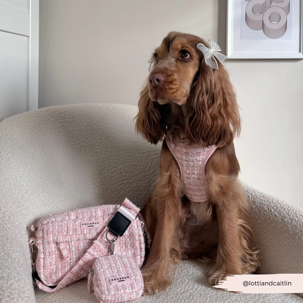 Pink Textured Tweed Dog Walking Bag Bundle - Image 7