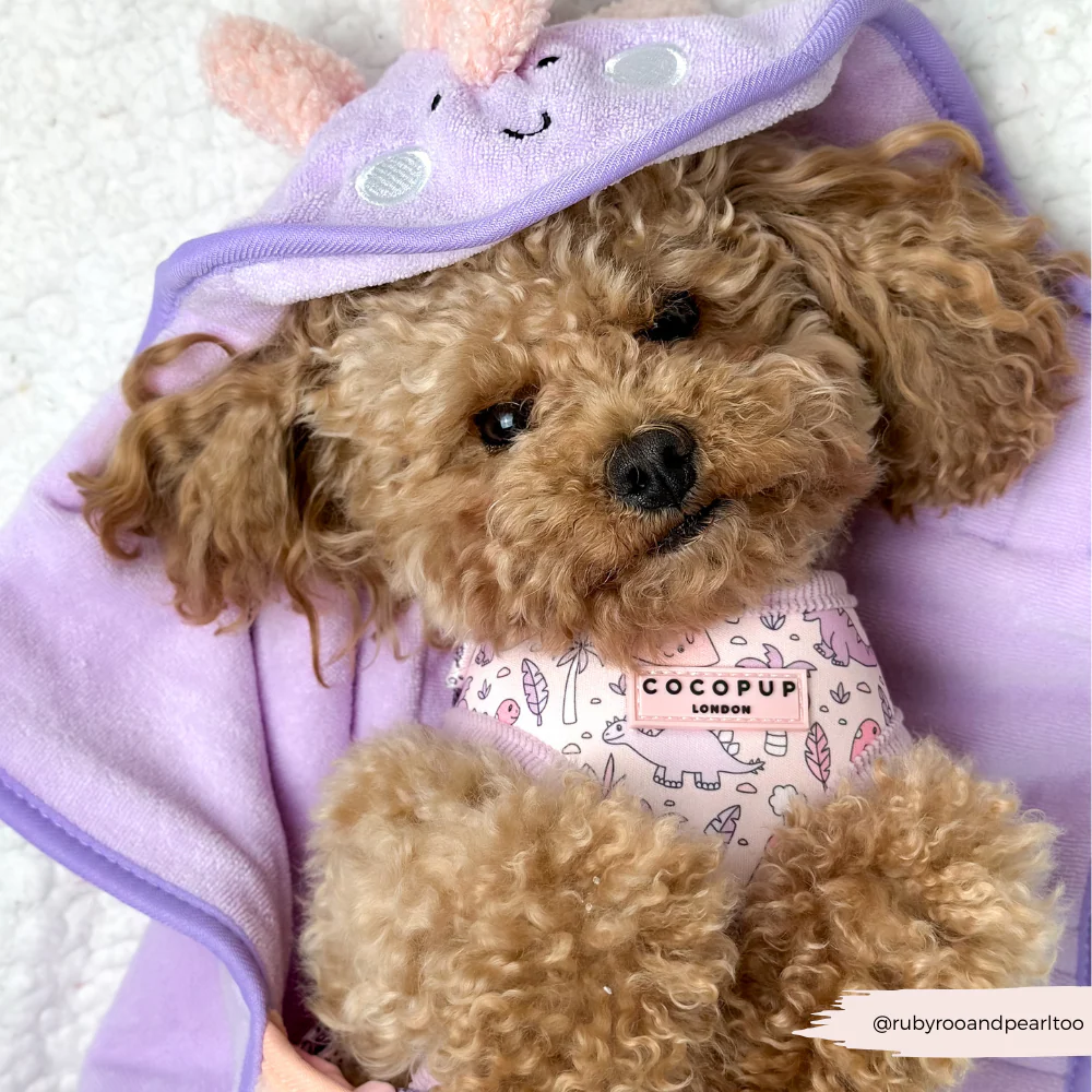 Princess Dino Adjustable Neck Harness, Lead & Collar Bundle - Image 10