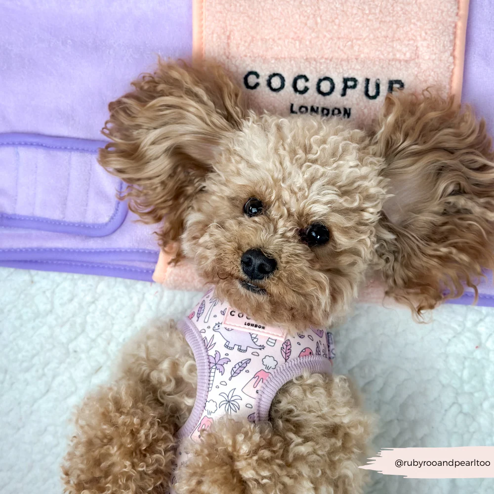 Princess Dino Adjustable Neck HARNESS - Image 11