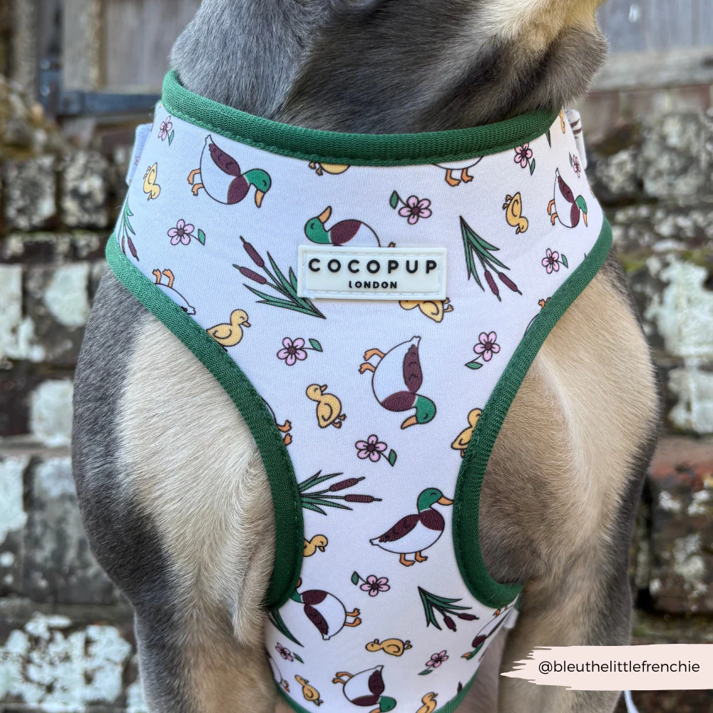 Puddle Pup Adjustable Neck Harness, Lead & Collar Bundle - Image 15