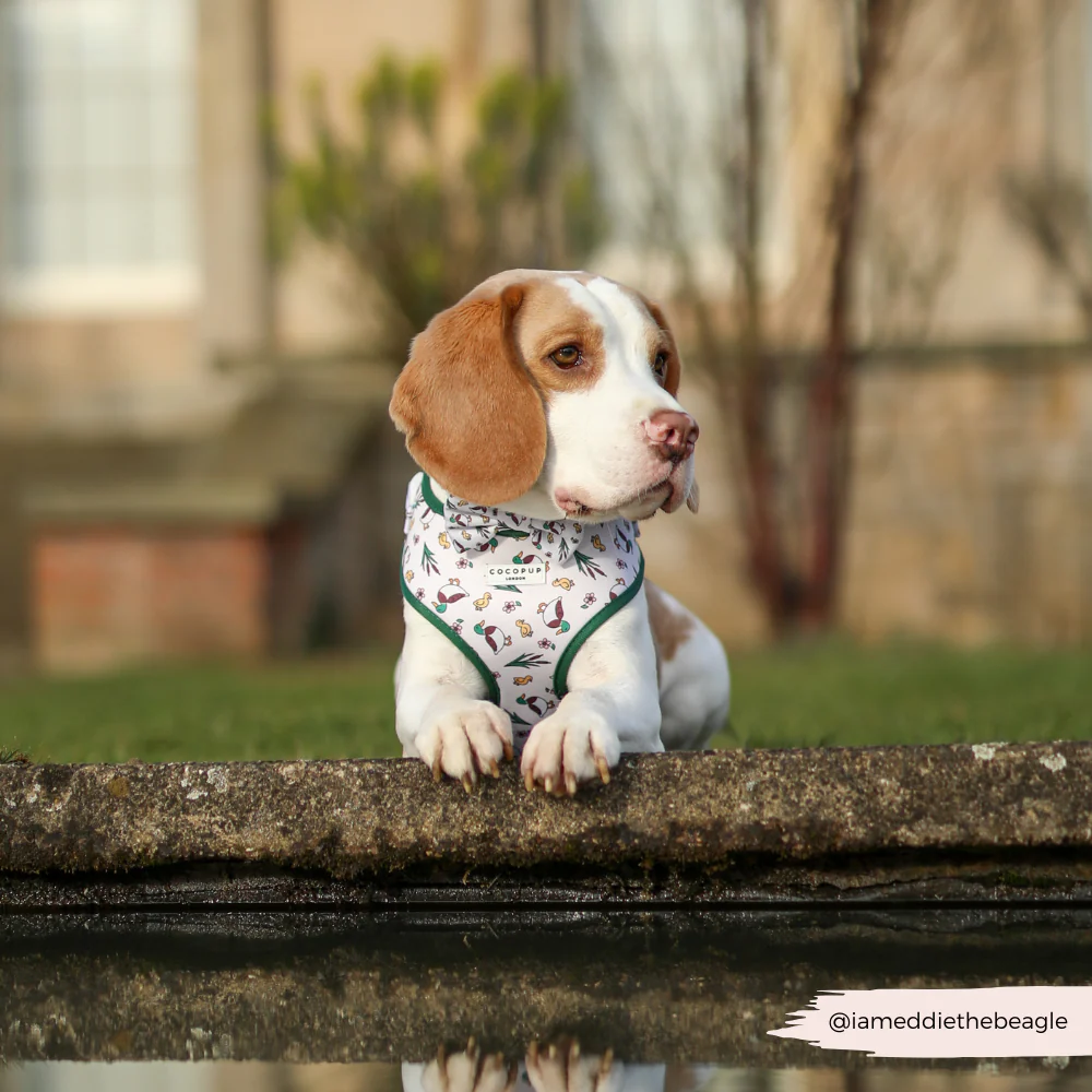 Puddle Pup Adjustable Neck Harness, Lead & Collar Bundle - Image 8