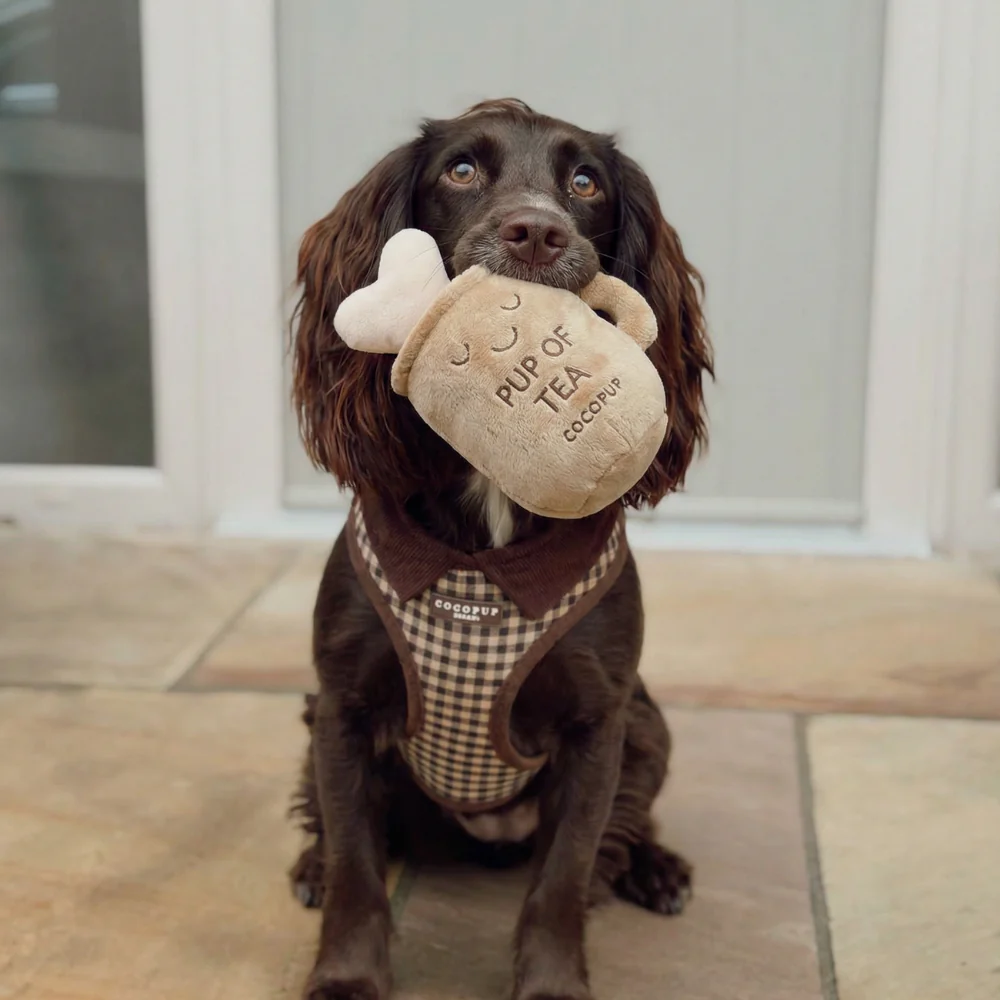 Pup of Tea Dog Toy - Image 2