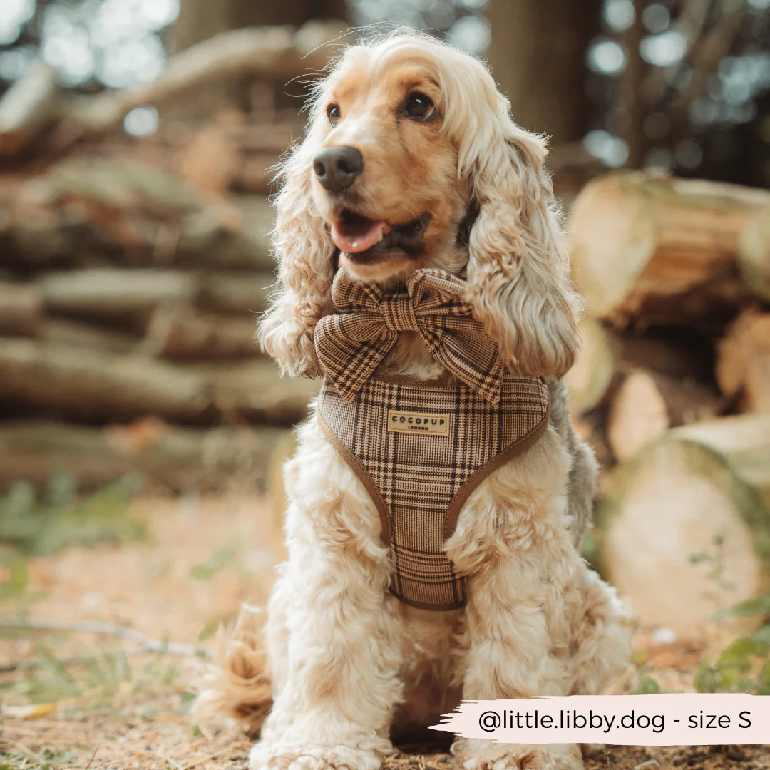Pup Plaid Adjustable Neck Harness, Lead & Collar Bundle - Image 10