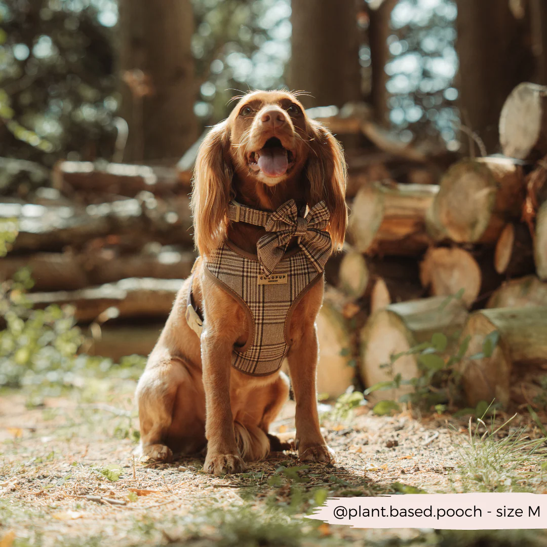 Pup Plaid Adjustable Neck Harness, Lead & Collar Bundle - Image 9