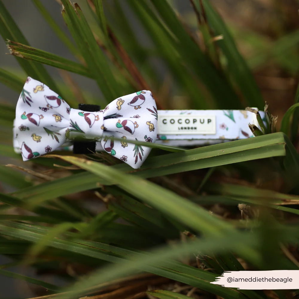 Puddle Pup COLLAR - Image 2