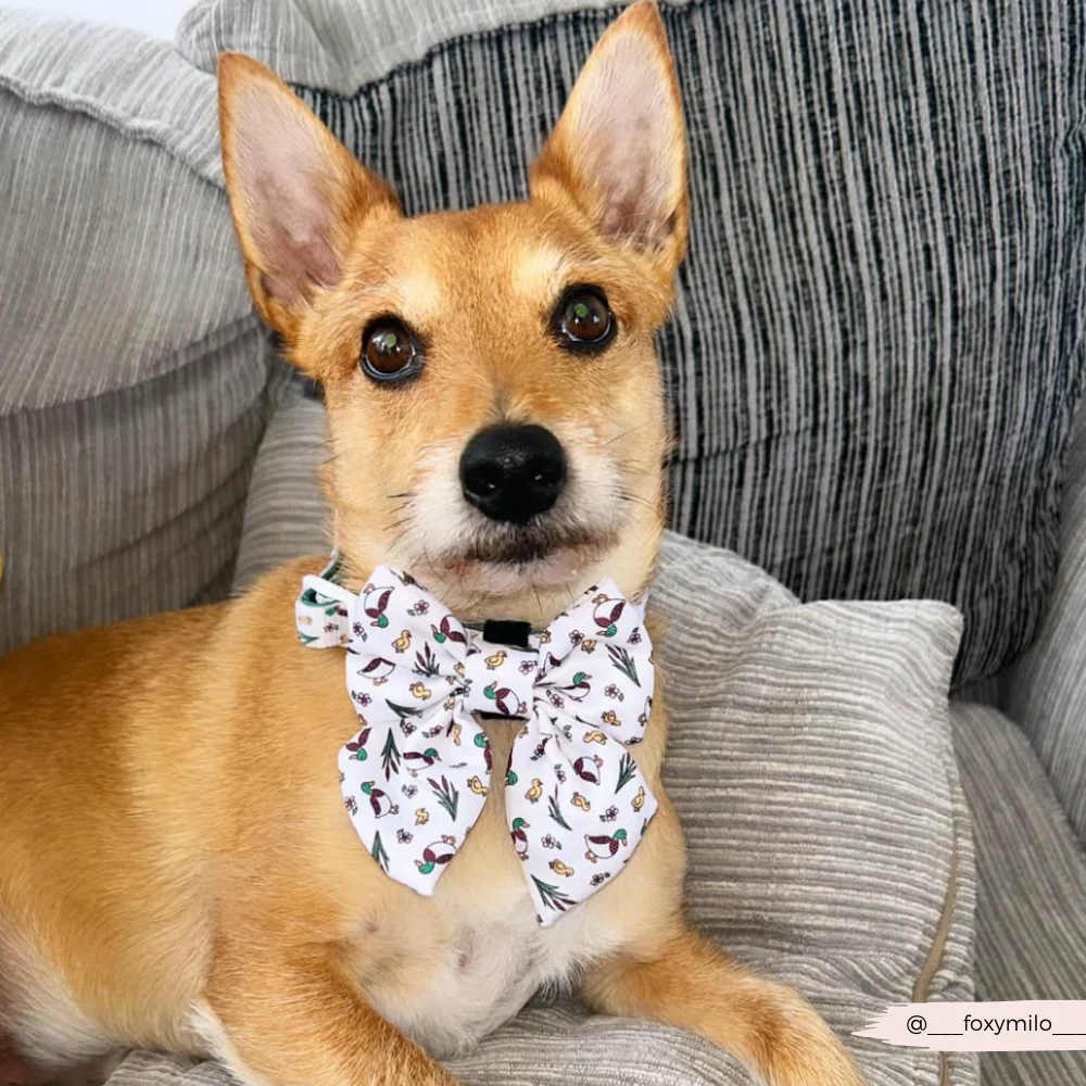 Puddle Pup Sailor Bow Tie - Image 5