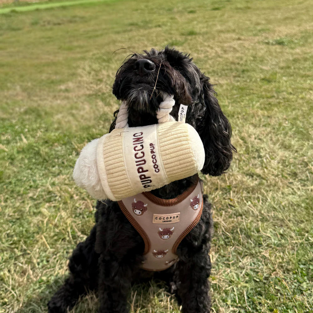 Puppuccino Dog Toy - Image 4