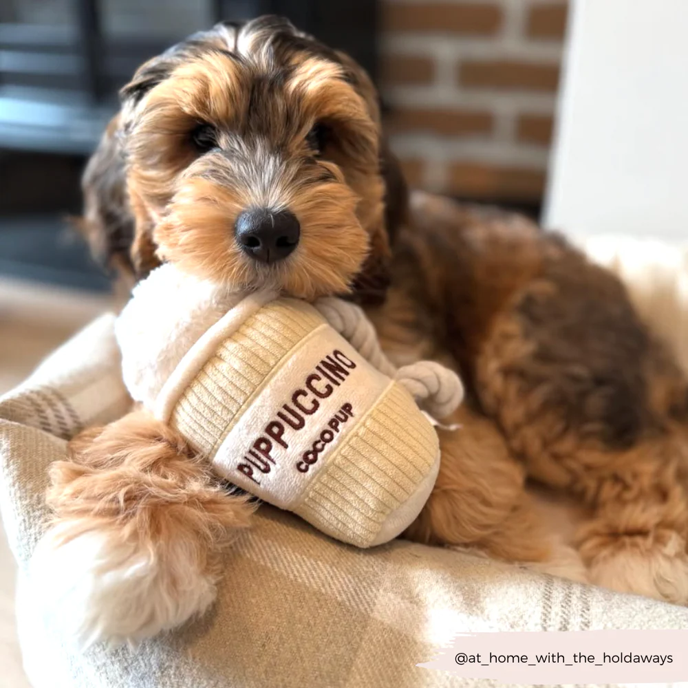 Puppuccino Dog Toy - Image 7