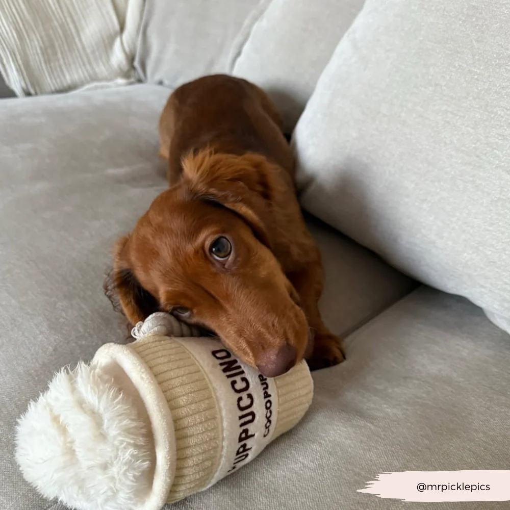 Puppuccino Dog Toy - Image 9