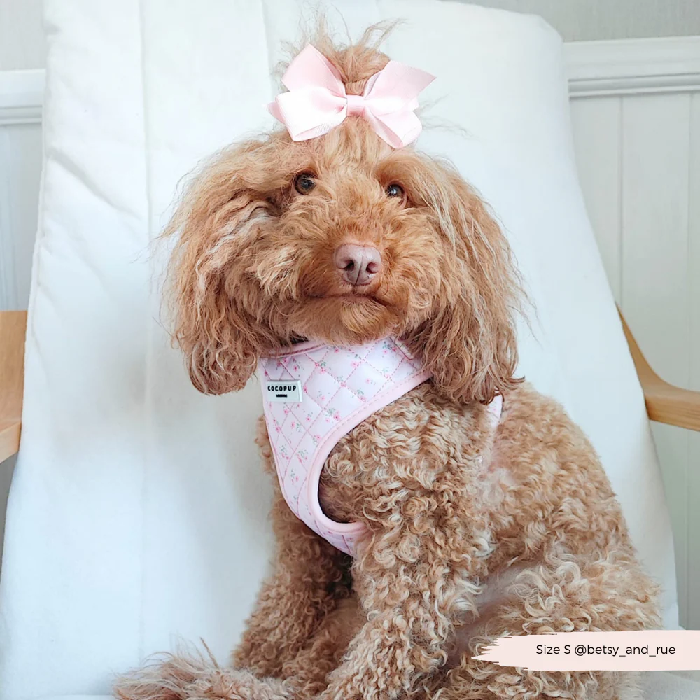 Quilted Ditsy Floral Pink Adjustable Neck Harness, Lead & Collar Bundle - Image 11