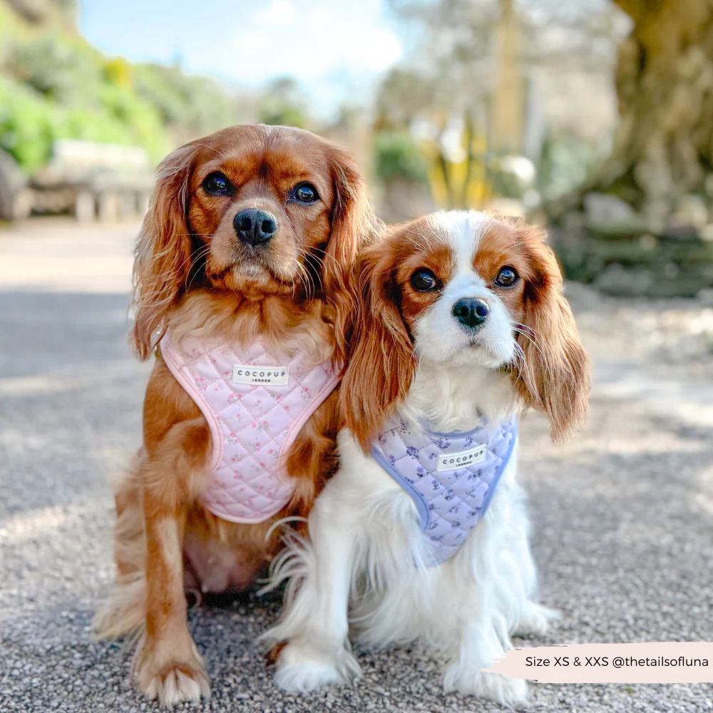 Quilted Ditsy Floral Pink Adjustable Neck Harness, Lead & Collar Bundle - Image 7