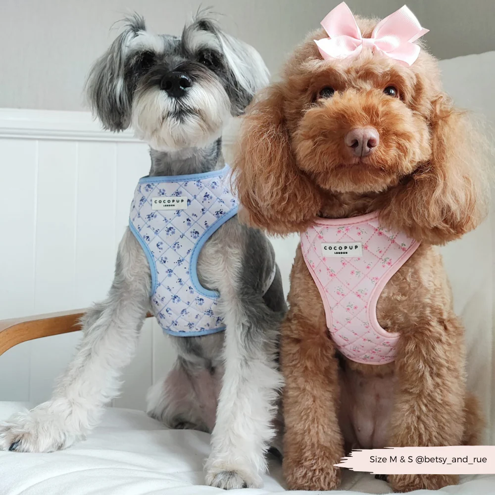 Quilted Ditsy Floral Pink Adjustable Neck Harness, Lead & Collar Bundle - Image 8