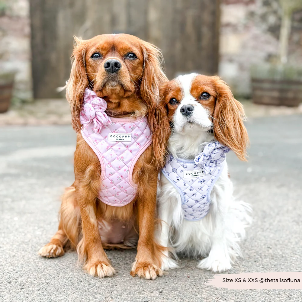 Quilted Ditsy Floral Pink Adjustable Neck HARNESS - Image 10