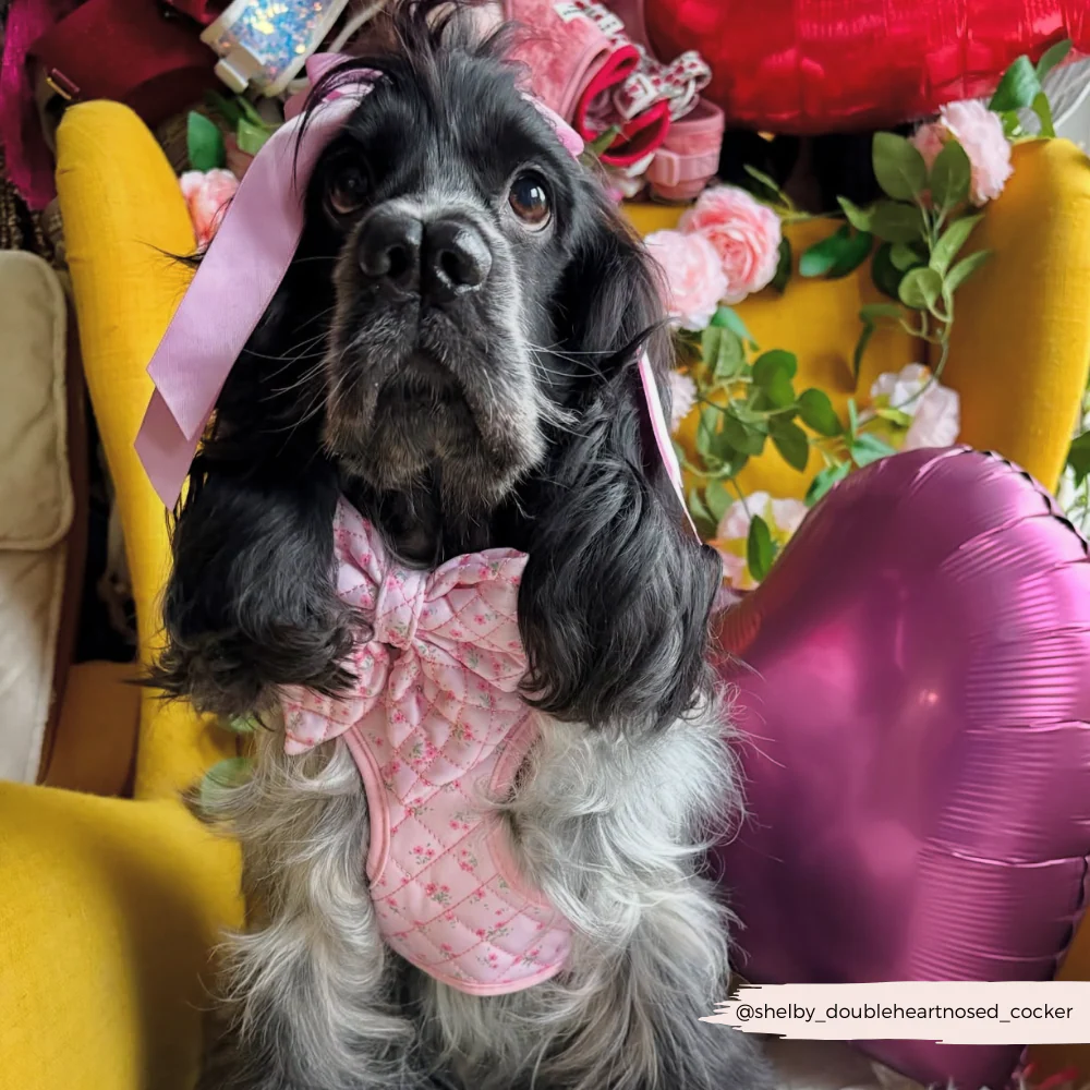 Quilted Ditsy Floral Pink Sailor Bow Tie - Image 4
