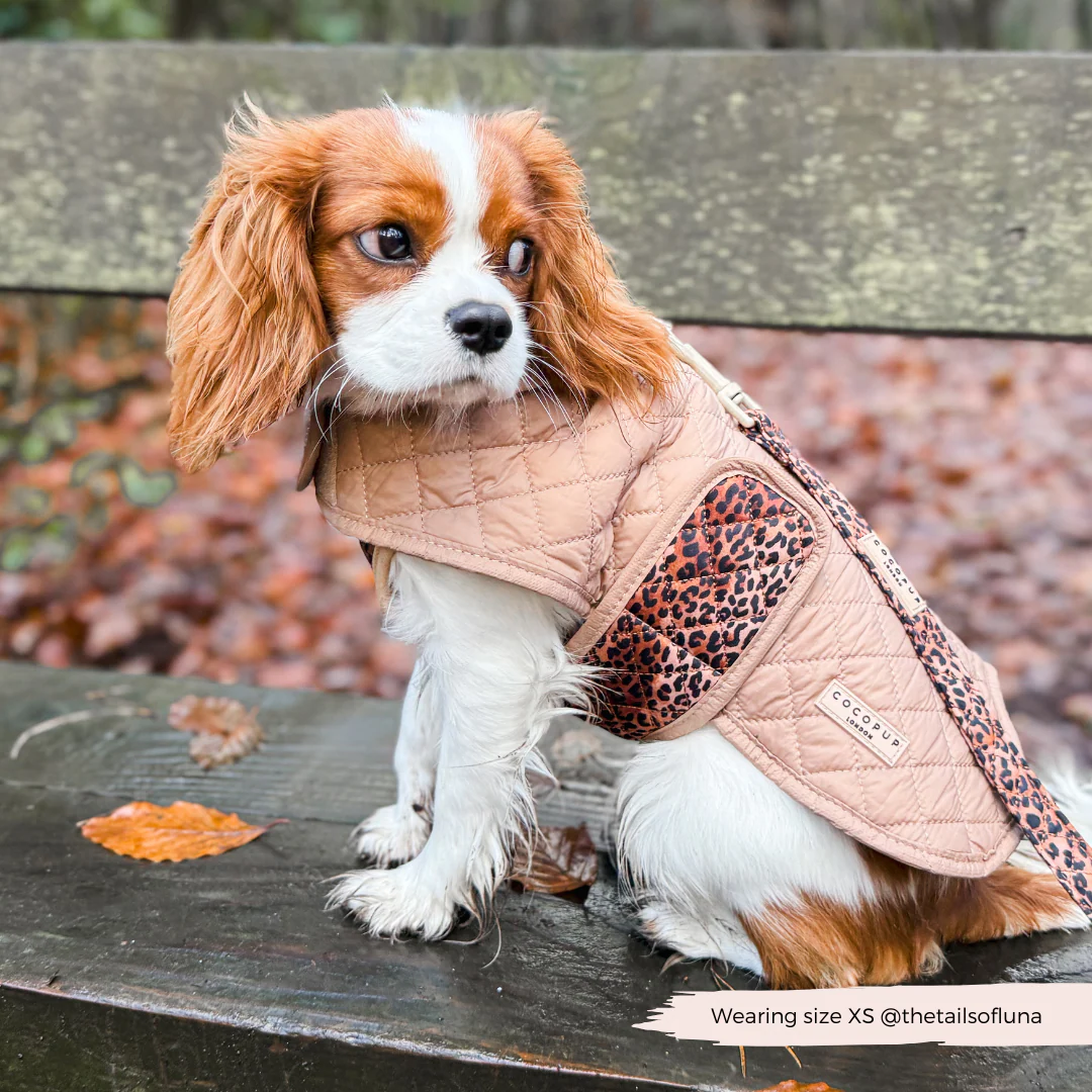 Quilted Dog Coat - Leopard Pup - Image 11