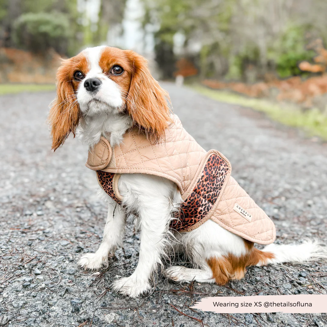 Quilted Dog Coat - Leopard Pup - Image 12