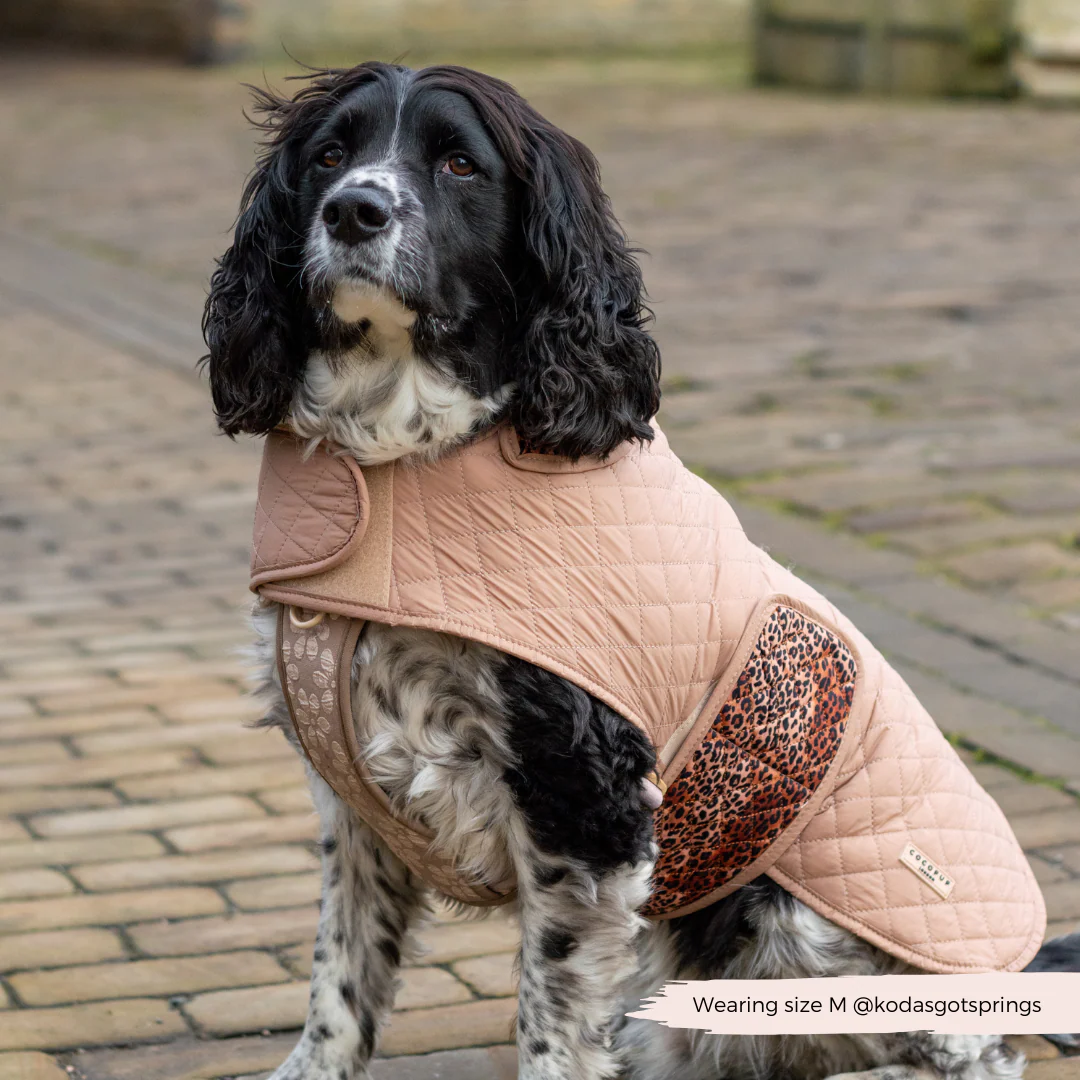 Quilted Dog Coat - Leopard Pup - Image 13
