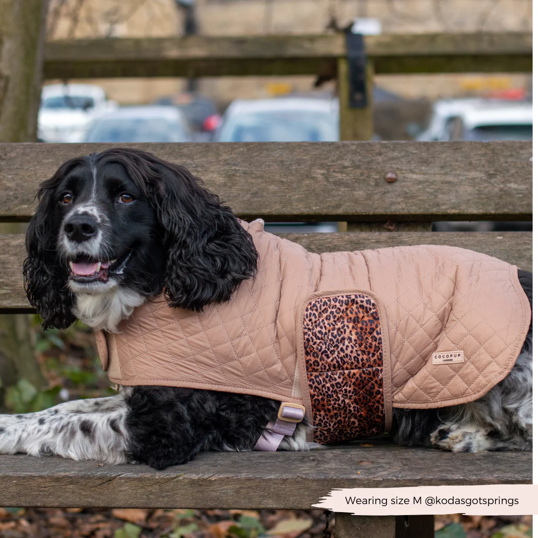 Quilted Dog Coat - Leopard Pup - Image 17
