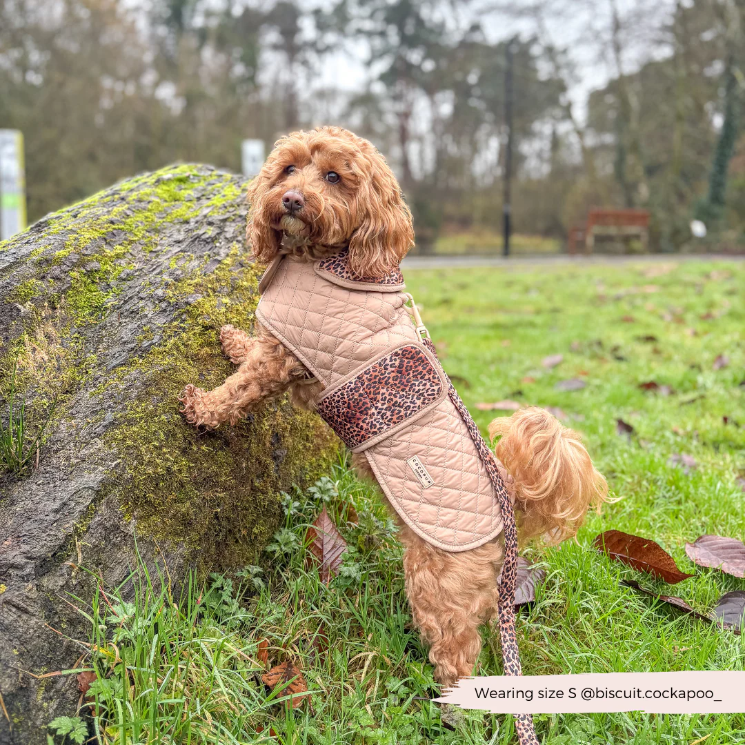 Quilted Dog Coat - Leopard Pup - Image 18