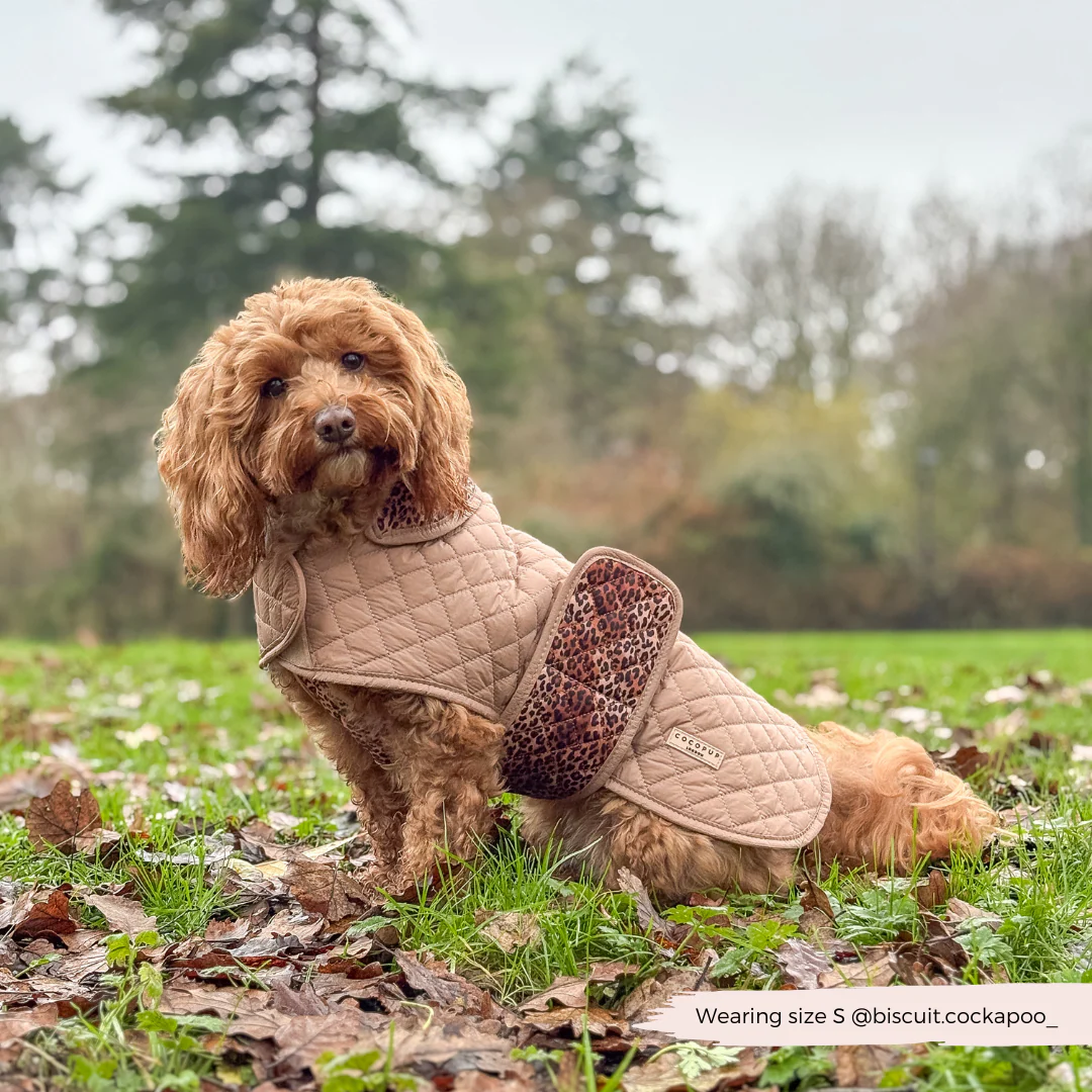 Quilted Dog Coat - Leopard Pup - Image 19