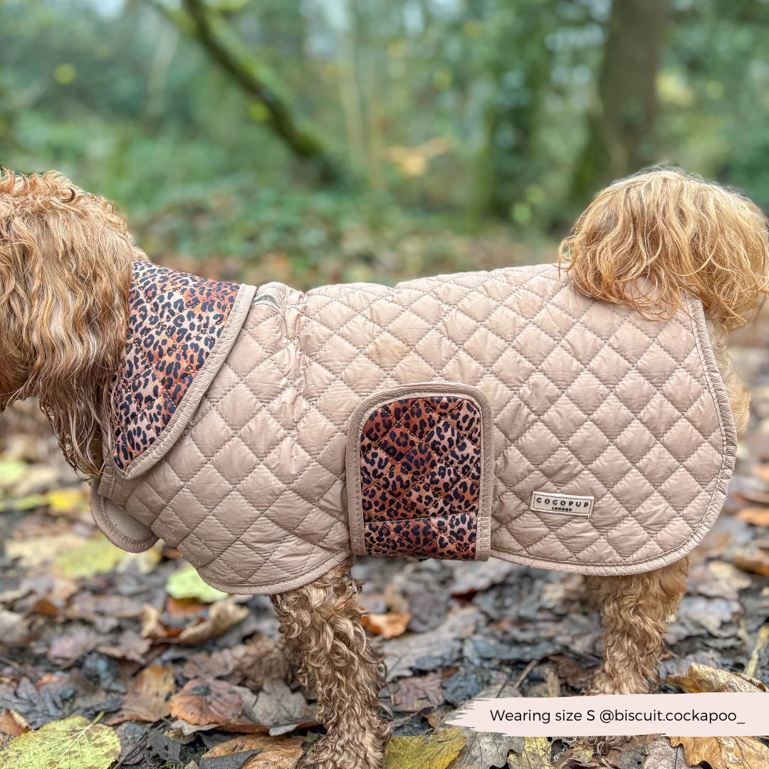Quilted Dog Coat - Leopard Pup - Image 20