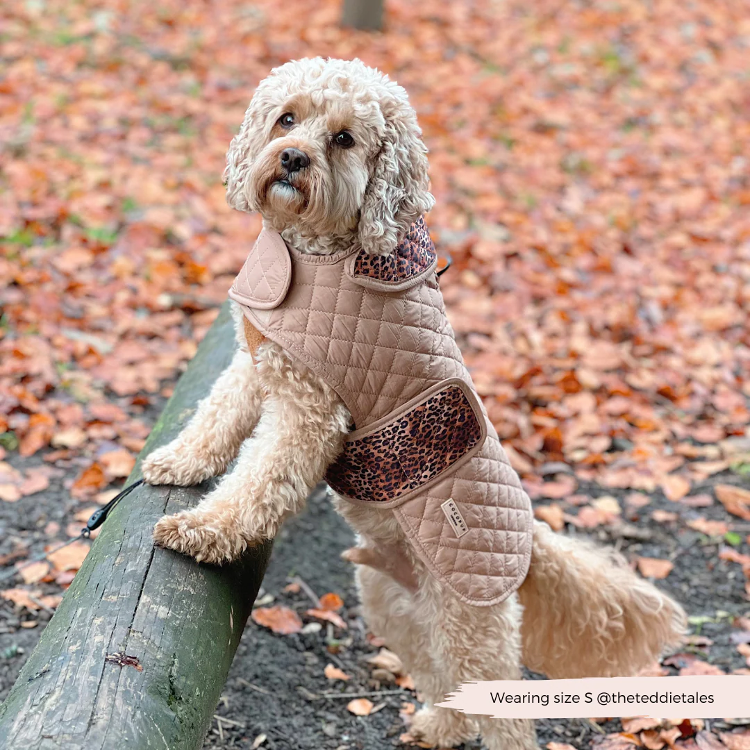 Quilted Dog Coat - Leopard Pup - Image 22