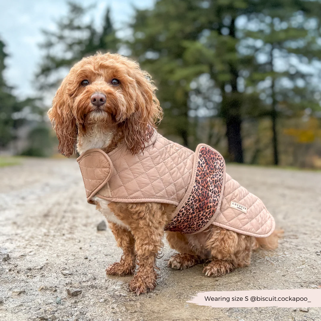 Quilted Dog Coat - Leopard Pup - Image 23