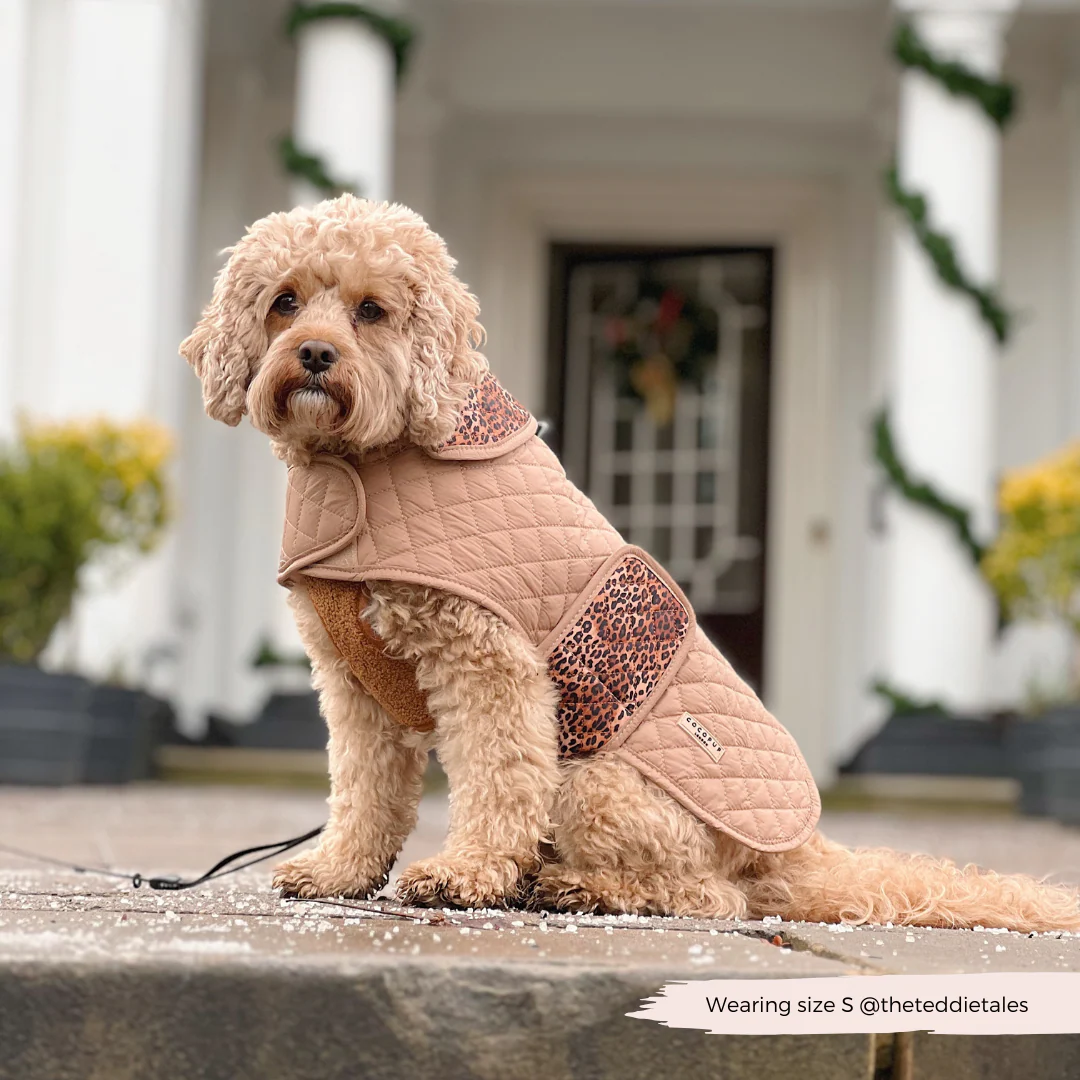 Quilted Dog Coat - Leopard Pup - Image 25