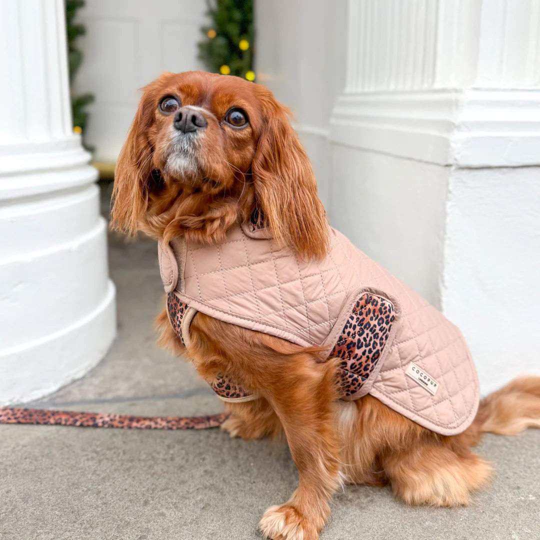 Quilted Dog Coat - Leopard Pup - Image 26