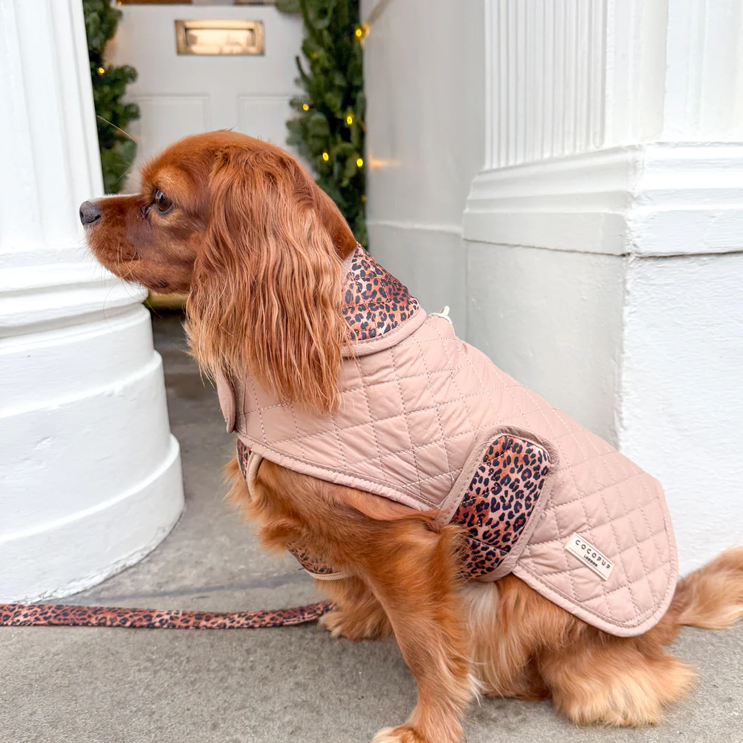 Quilted Dog Coat - Leopard Pup - Image 27