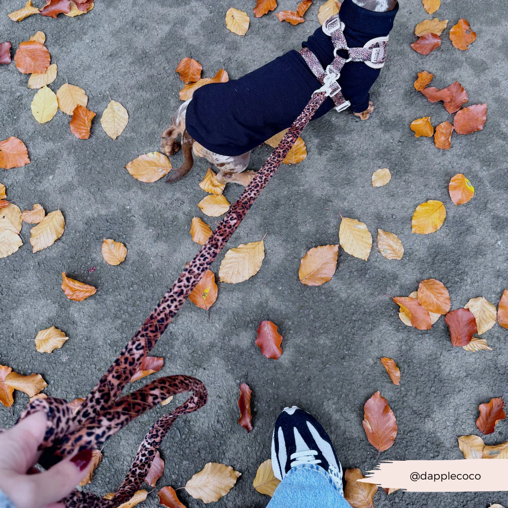 Quilted Leopard Pup Lead - Image 9