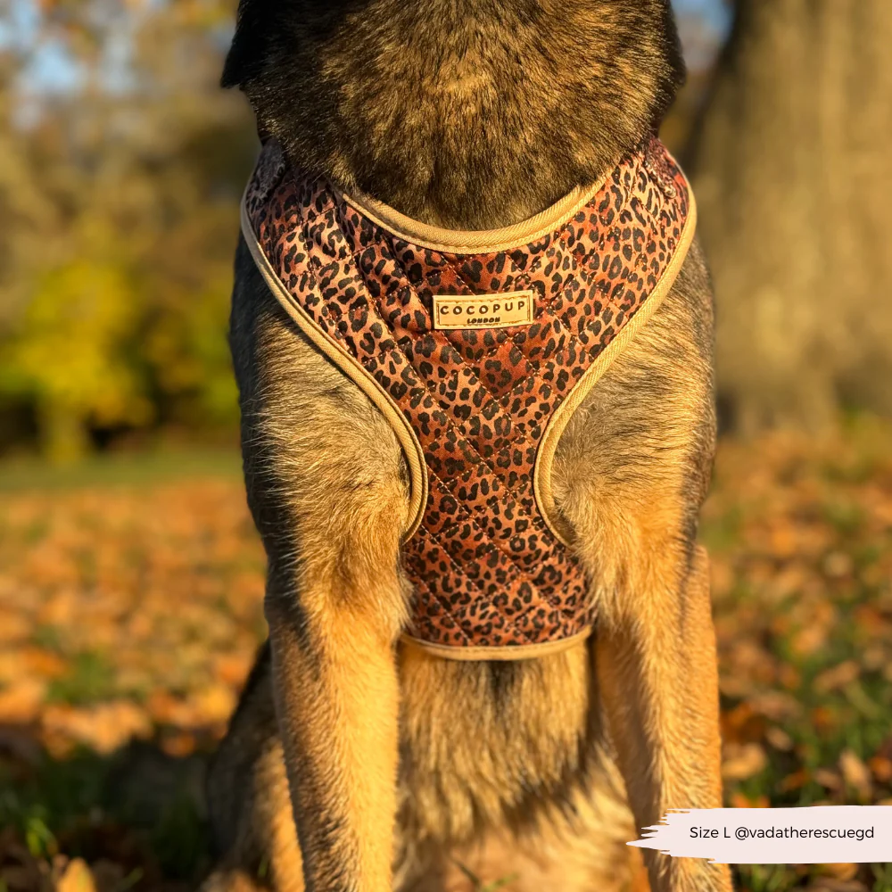 Quilted Leopard Pup Adjustable Neck Harness, Lead & Collar Bundle - Image 24