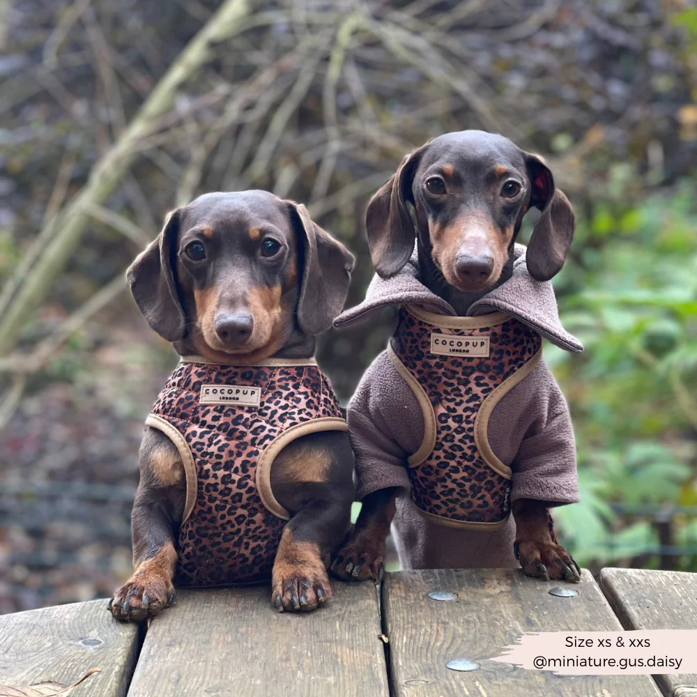 Quilted Leopard Pup Adjustable Neck HARNESS - Image 12