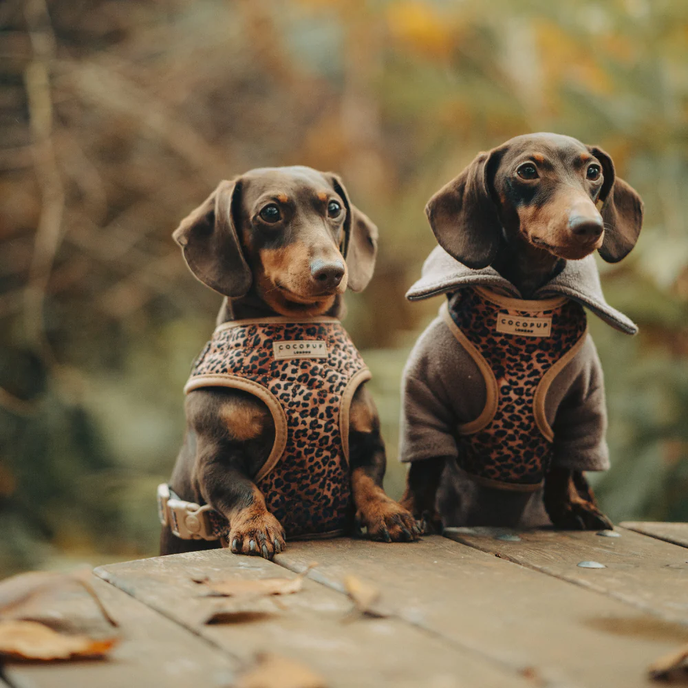 Quilted Leopard Pup Adjustable Neck Harness, Lead & Collar Bundle - Image 36