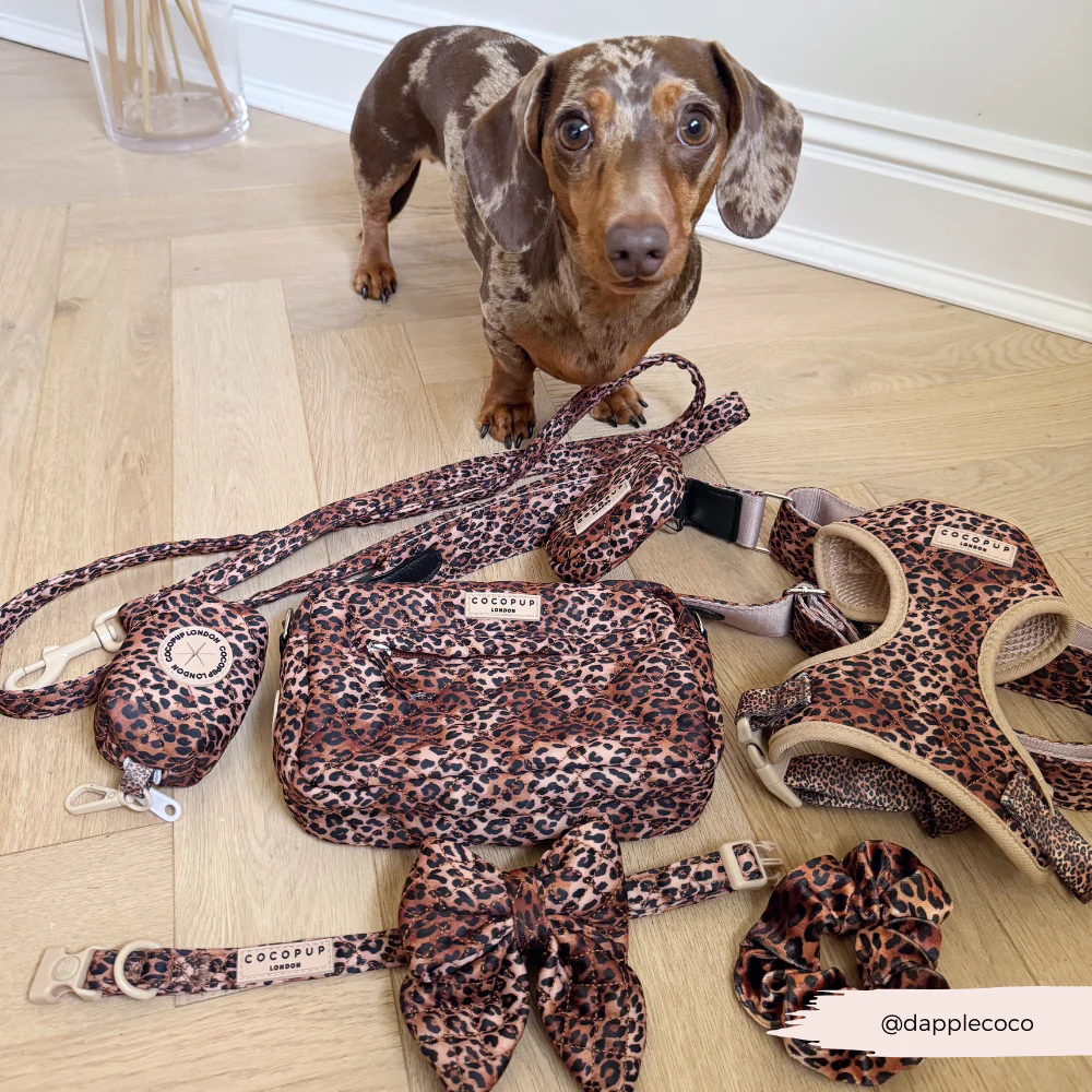 Bag Strap - Quilted Leopard Pup - Image 6