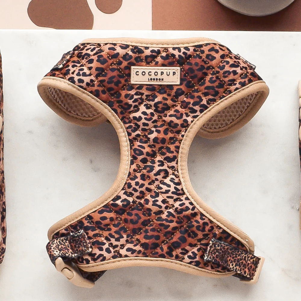 Quilted Leopard Pup Adjustable Neck HARNESS