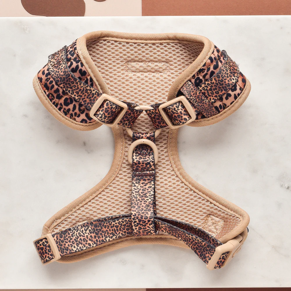 Quilted Leopard Pup Adjustable Neck HARNESS - Image 2