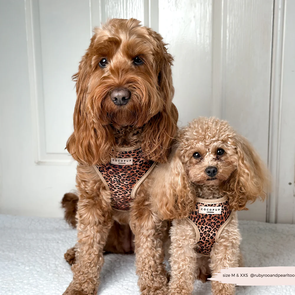 Quilted Leopard Pup Adjustable Neck Harness, Lead & Collar Bundle - Image 9