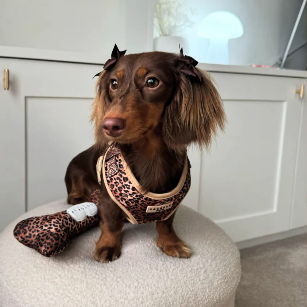 Quilted Leopard Bone Toy - Image 7