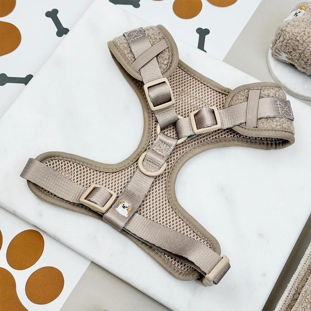 Ralph & Friends Mocha Teddy Adjustable Neck Harness, Lead & Collar Bundle - Image 6