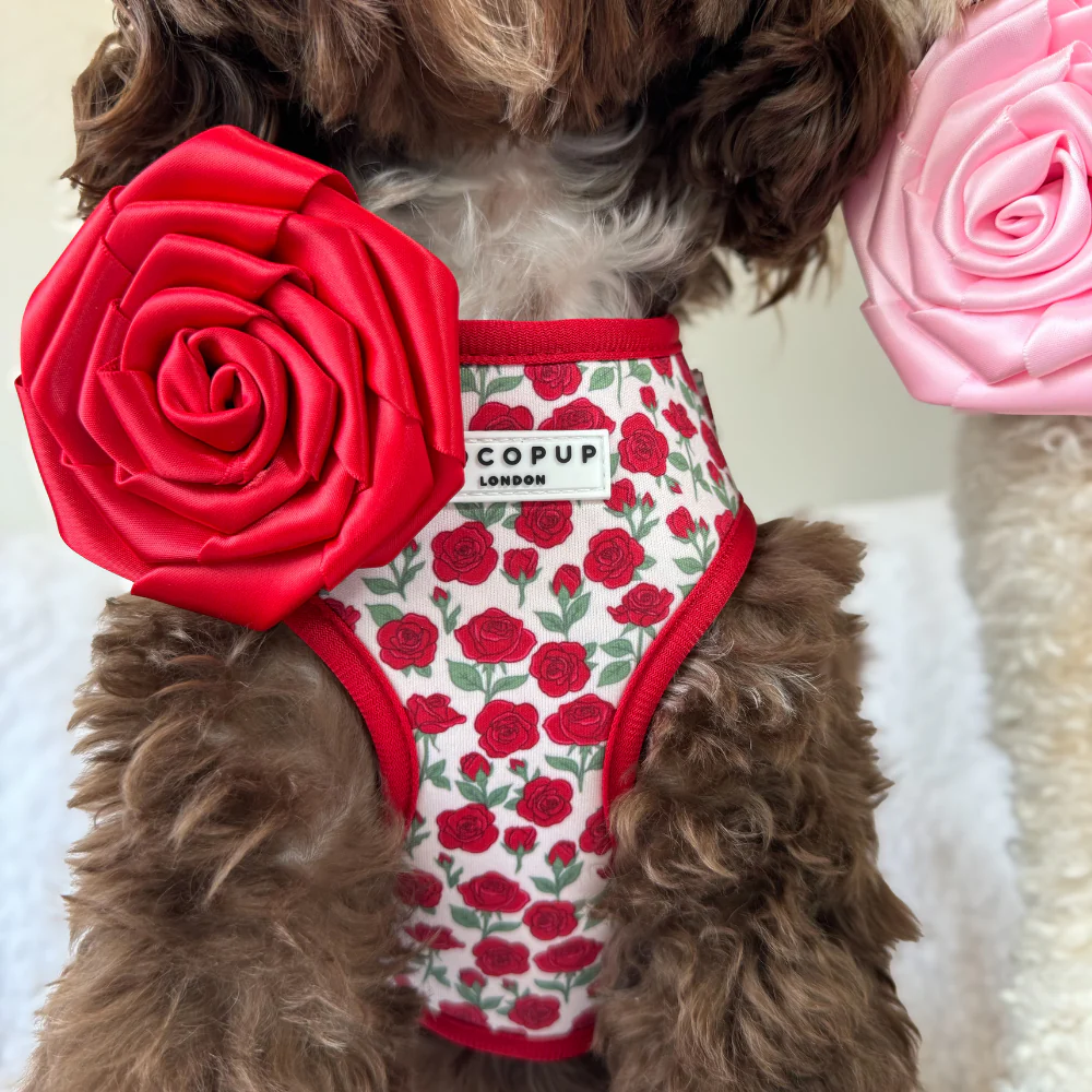 Red Rose Collar Flower - Image 10