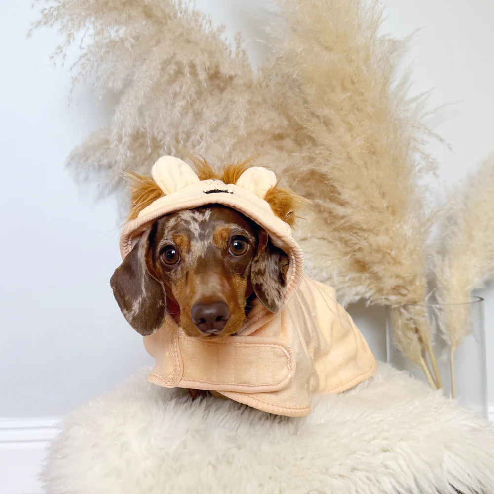 Roary the Lion Drying Robe - Image 11