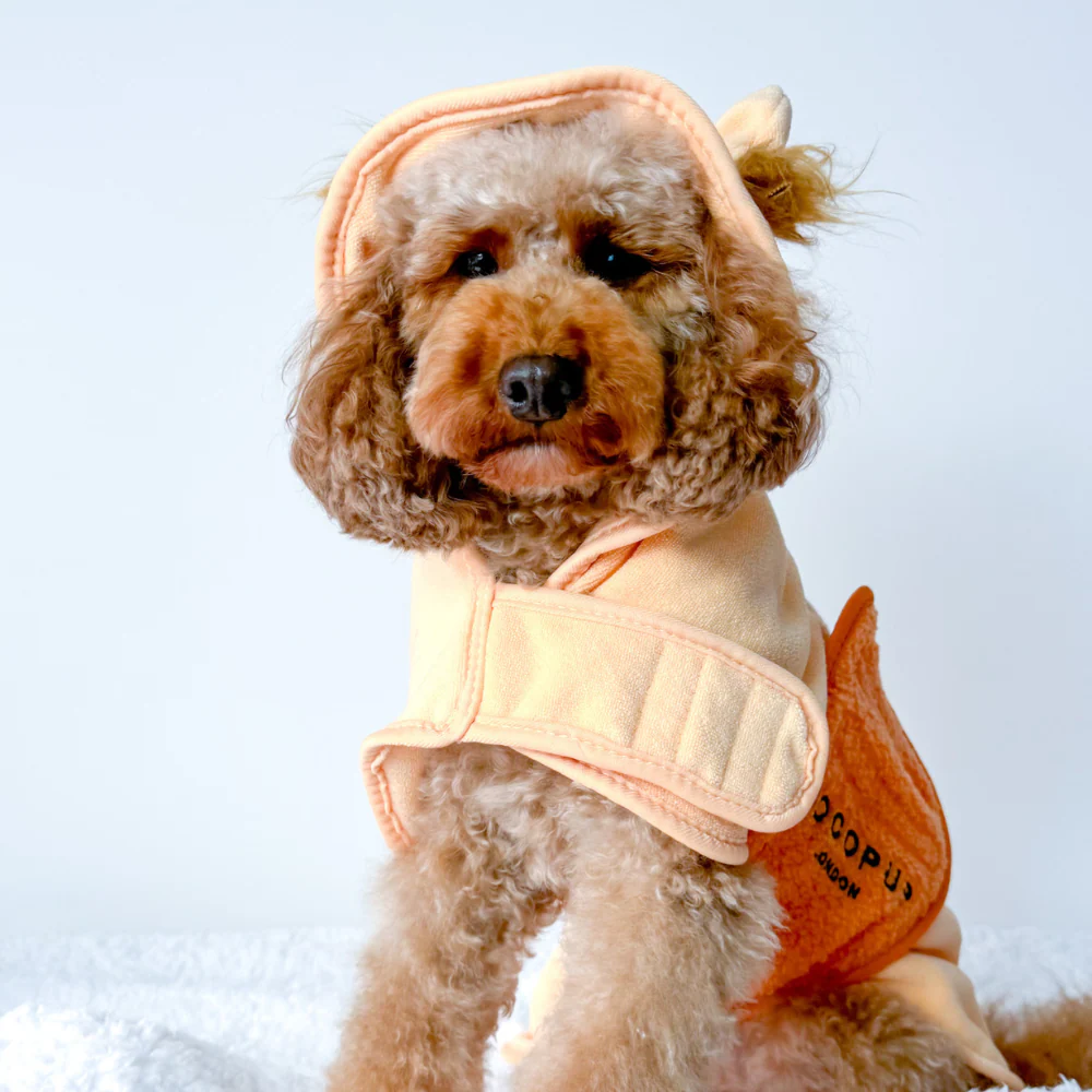 Roary the Lion Drying Robe - Image 12