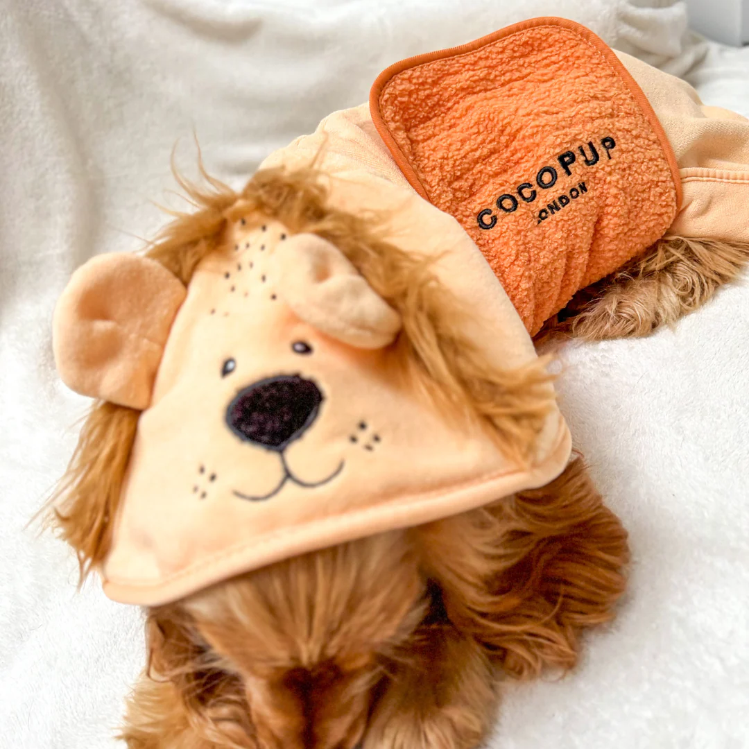 Roary the Lion Drying Robe - Image 14