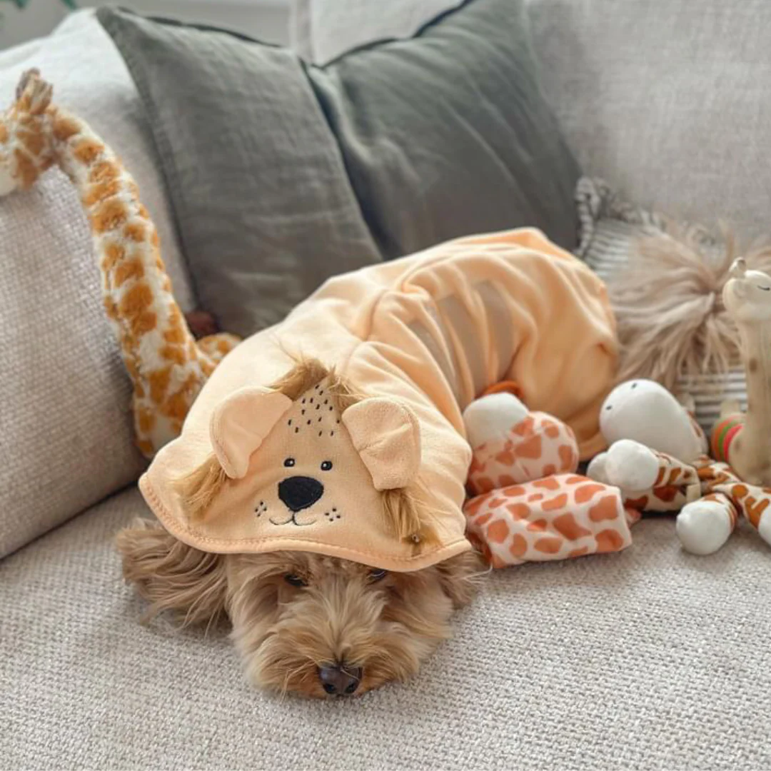 Roary the Lion Drying Robe - Image 15