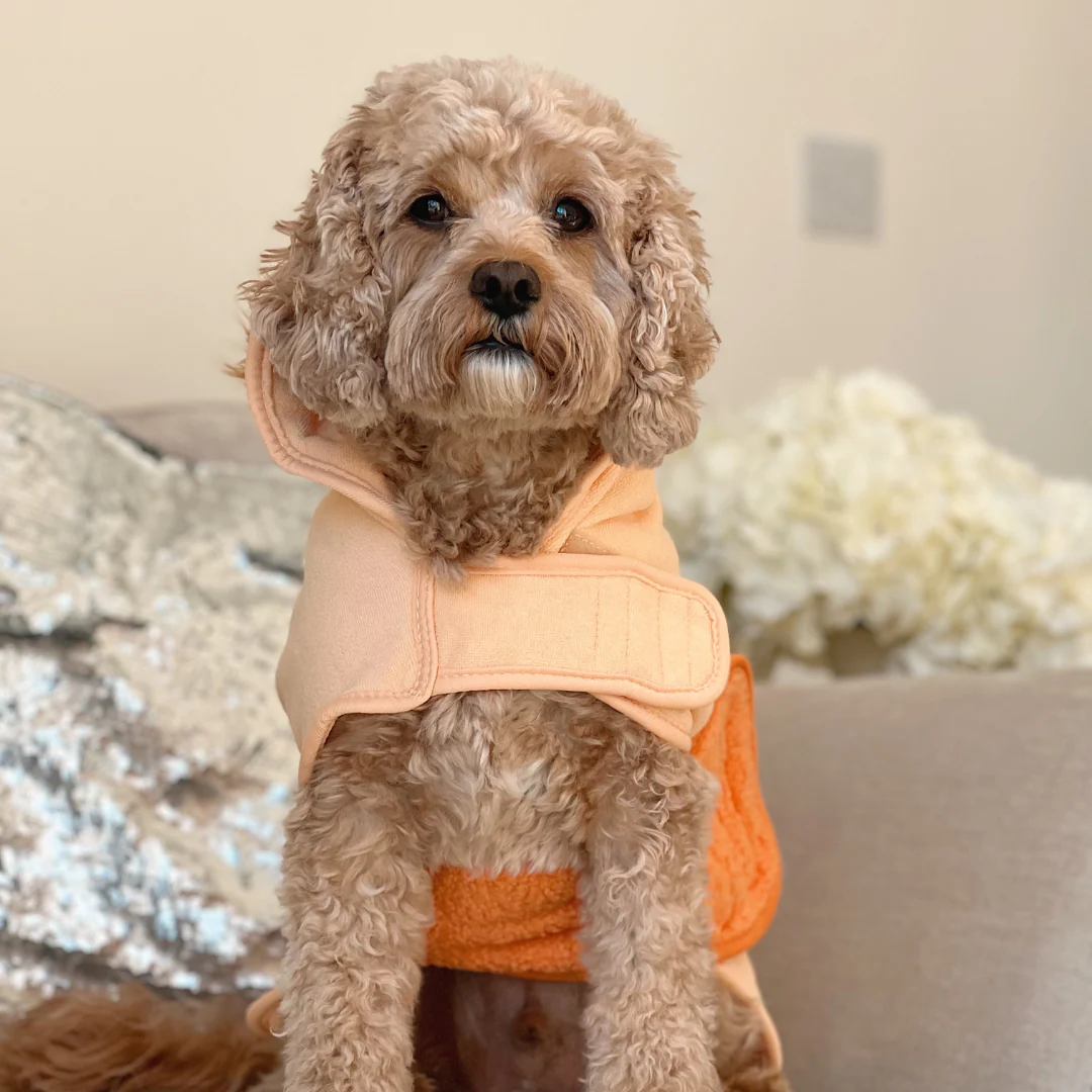Roary the Lion Drying Robe - Image 16