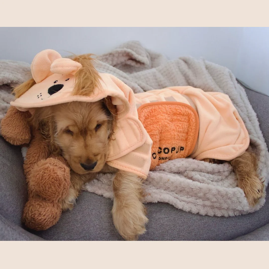 Roary the Lion Drying Robe - Image 17